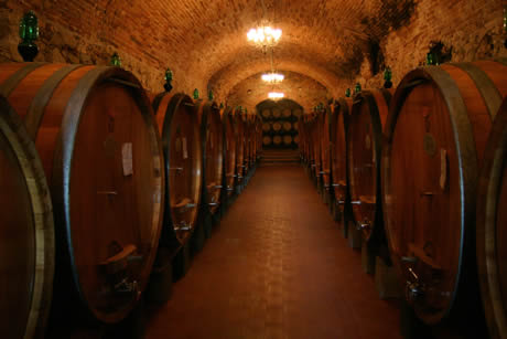 Pivnita cu butoaie de vin chianti la Florenta foto