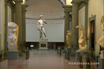 Michelangelo's David